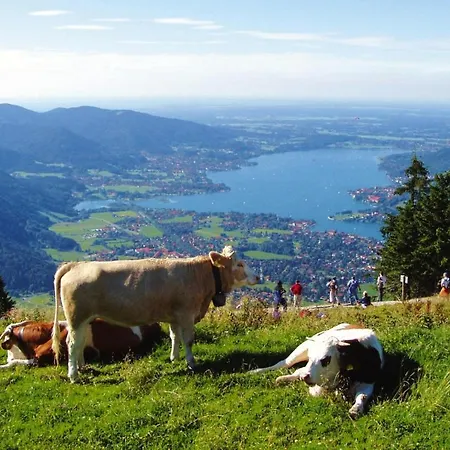 Haus Concordia In Am Tegernsee - Dal02002-cya Bad Wiessee